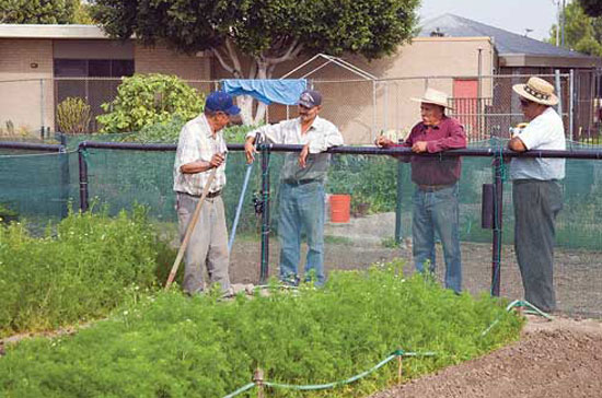 Members of 180-plot Stanford-Avalon Community Garden in Los Angeles cultivate community and reap relationships — and a whole lot of produce.